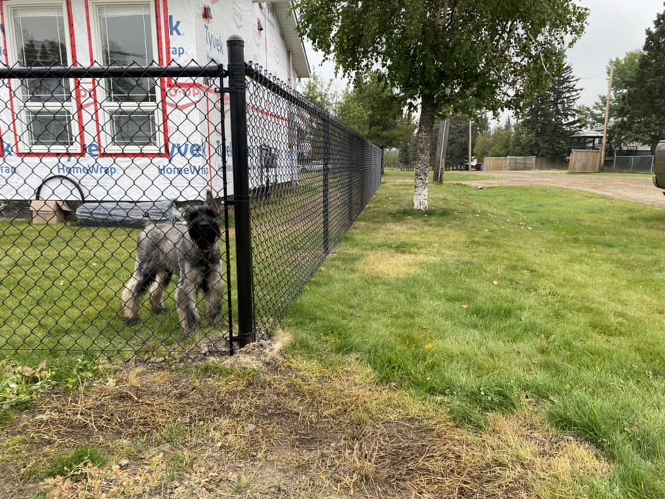 Chainlink fence project 11